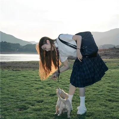 万花迎春